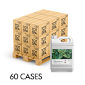 PALLET TẨY BỎ SỌT TOT